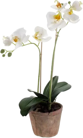 Künstliche Orchidee Nika von Aplanta, Tischdeko, Höhe: 56 cm
