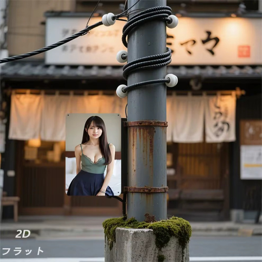 CIFBUY Vintage Frauenporträt Metallschild im japanischen Retro-Stil als Wandkunst für dein Wohnzimmer - Bild 4
