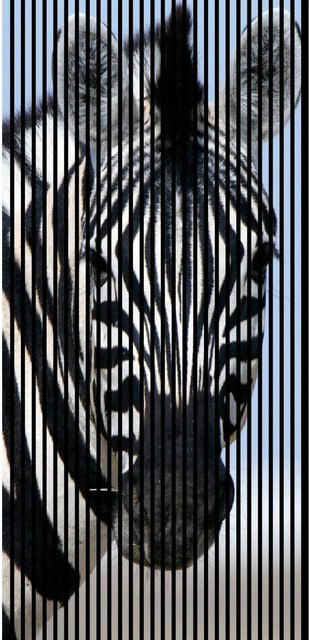 FN Acustico Akustikplatte Zebra Design aus PET und MDF, Bunt, H x B x T: 2.400 x 1.133 x 19 mm - Bild 1