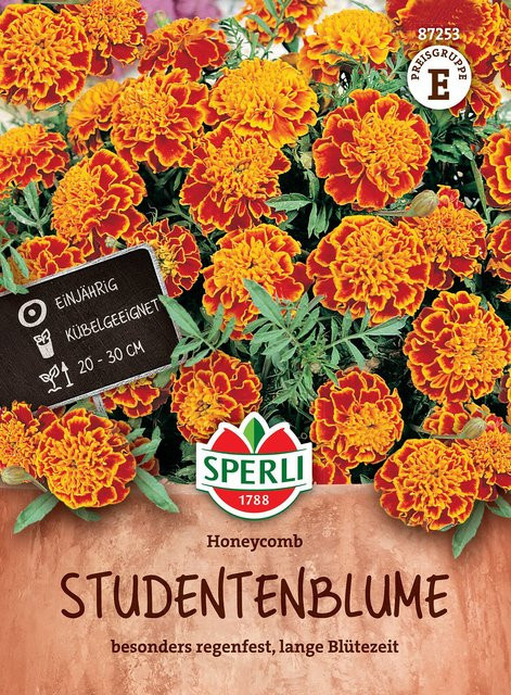 SPERLI Studentenblumen-Samen Honeycomb bunt (Rot, Gelb, Mehrfarbig) - Bild 1