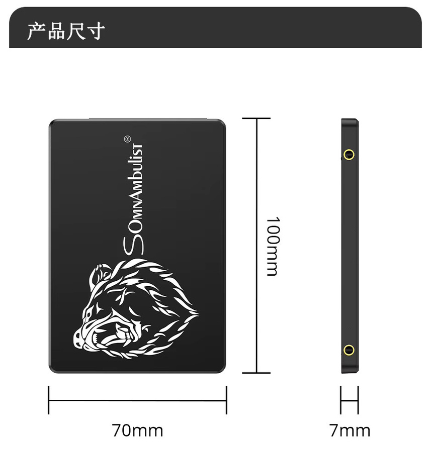 SomnAmbulist 2,5-Zoll SATA III SSD 256GB Interne Solid-State-Festplatte in Schwarz für Laptop und PC - Bild 4