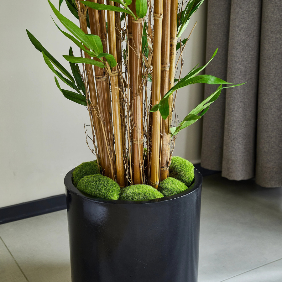 Künstlicher Bambus Baum von artplants in Grün, Höhe: 150 cm - Bild 3