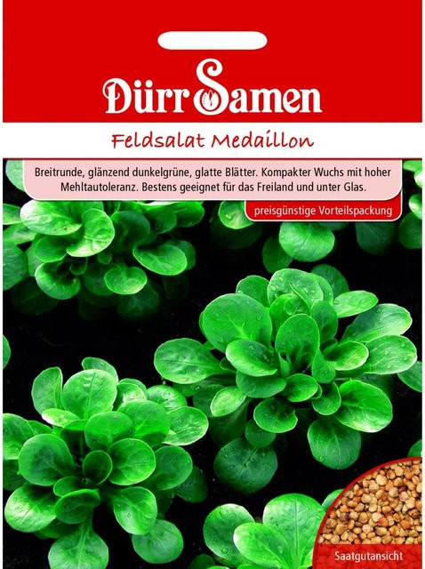 Dürr Feldsalat Medaillon Saatgut für Sommer und Herbst 155 g - Bild 1