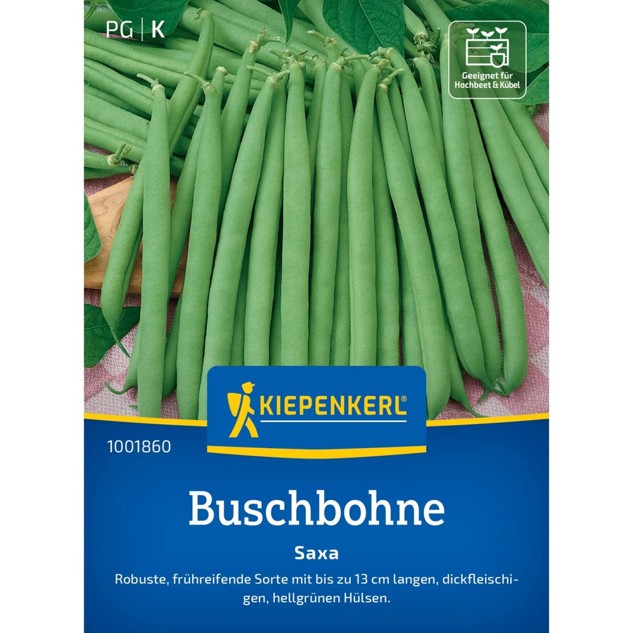 Kiepenkerl Buschbohne Saxa Gemüse - Bild 2