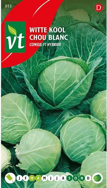 Arborix Weißkohl Consul F1 Saatgut, 0,3 g - Bild 1