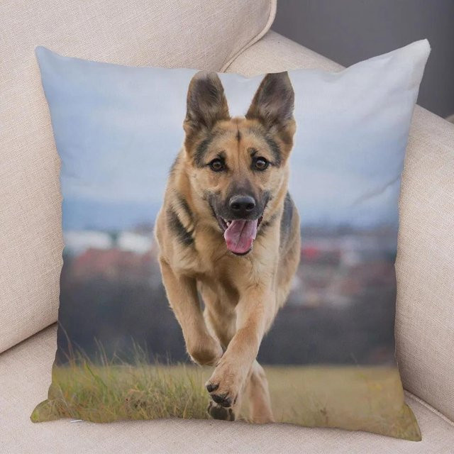 Dekorative Kissenhülle mit Schäferhund-Print von JMG Clothing in Blau, B/B/H: 45 x 45 x 1 cm - Bild 1