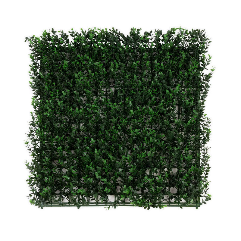 FLOORDIREKT Pflanzenwand Buxus – Künstliche Buxus-Pflanzen zur Wandmontage in Grün, B/H: 50 x 50 cm - Bild 2