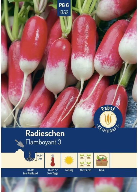 Pabst Keimkraft Radieschen Flamboyant zweifarbig lang Saatgut 250 g - Bild 1