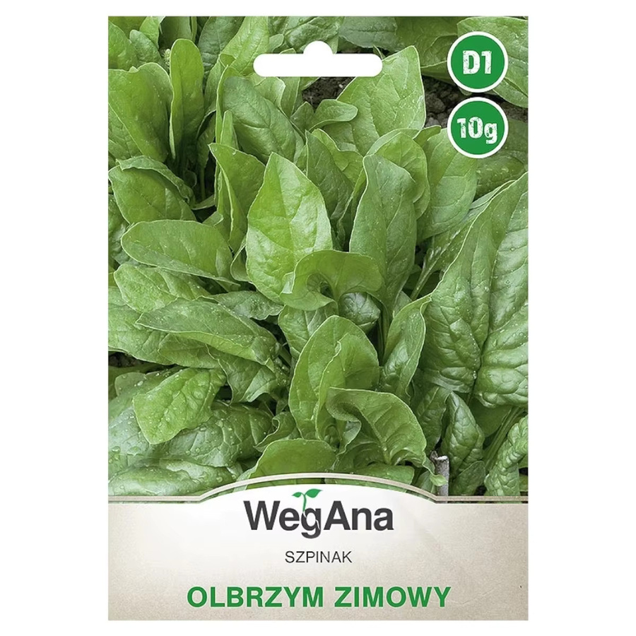 VegAna Riesenspinat Winter Gemüsespinatkerne, 10 g - Bild 2