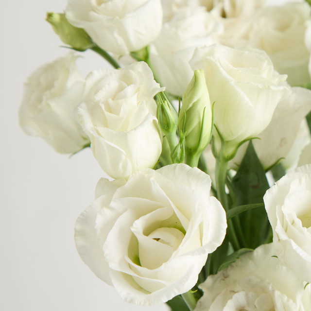 Blume2000 Lisianthus weiße Bunch - Bild 1