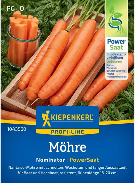 Kiepenkerl Möhren Nominator Daucus carota Gemüsesamen für den Sommer - Bild 1