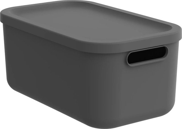Rotho Multibox Albula 12 Aufbewahrungsbox in Anthrazit