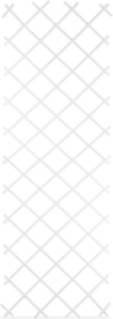 Relaxdays Rankgitter 3er Set aus Kunststoff in Weiß, ausziehbar für Garten, Terrasse und Balkon, B/H: 90 x 250 cm - Bild 1