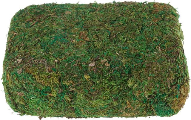VBS Moos Block in Grün, 750 g - Bild 1