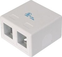 DIGITUS Konsolidierungs-Punkt Gehäuse für 2x Keystone Module, Weiß - Bild 1