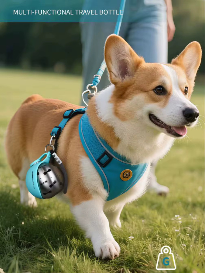 SUPERDESIGN 2-in-1 Tragbare Hundewasserflasche für Kleine Hunde aus Edelstahl und Silikon in Blau - Bild 5
