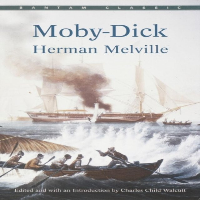 Moby Dick von Herman Melville, Taschenbuch - Bild 1