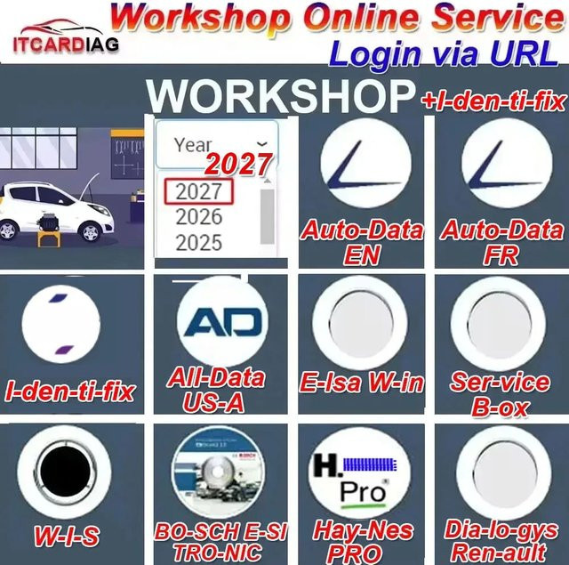 Haynes PRO W-I-S Service Box E-lsa Online-Kontopaket für Werkstatt-Reparaturdaten mit FCA USA Auto Data - Bild 1