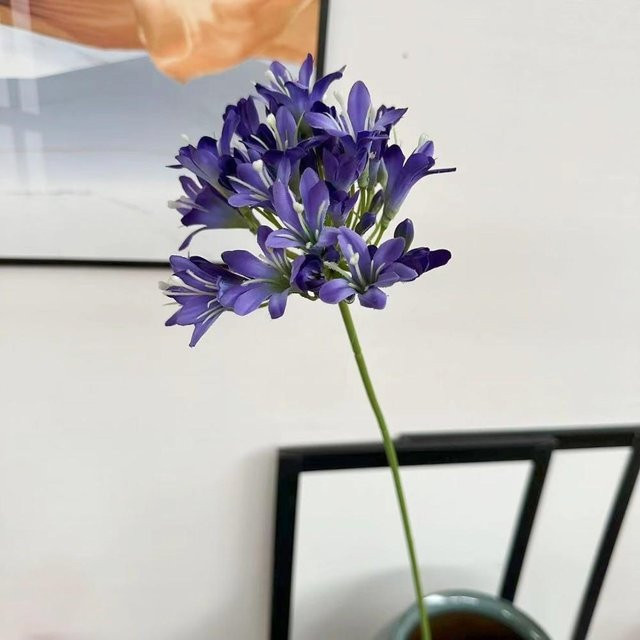 Künstliche Agapanthus-Blume von Kuanfan in Violett und Blau als Fotorequisite - Bild 1