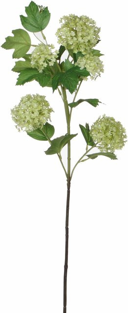 Mica Decorations Kunstblume Viburnum in Grün, Höhe: 66 cm - Bild 1