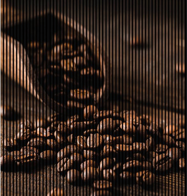 FN Acustico Akustikplatte Kaffee Bunt aus PET und MDF, H x B x T: 2.400 x 2.253 x 19 mm - Bild 1