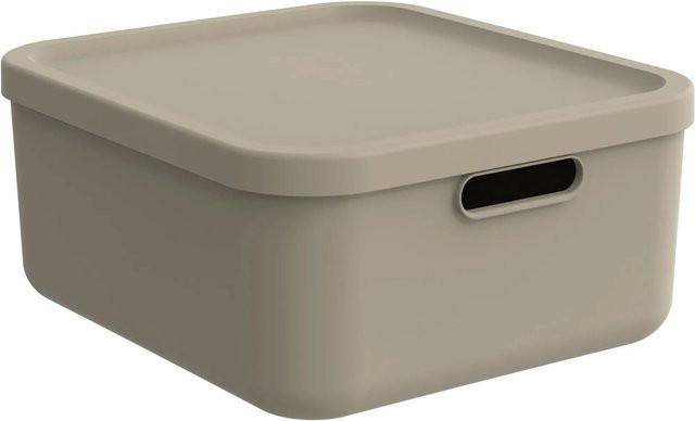 Rotho Multibox Albula 20 Aufbewahrungsbox in Cappuccino - Bild 1