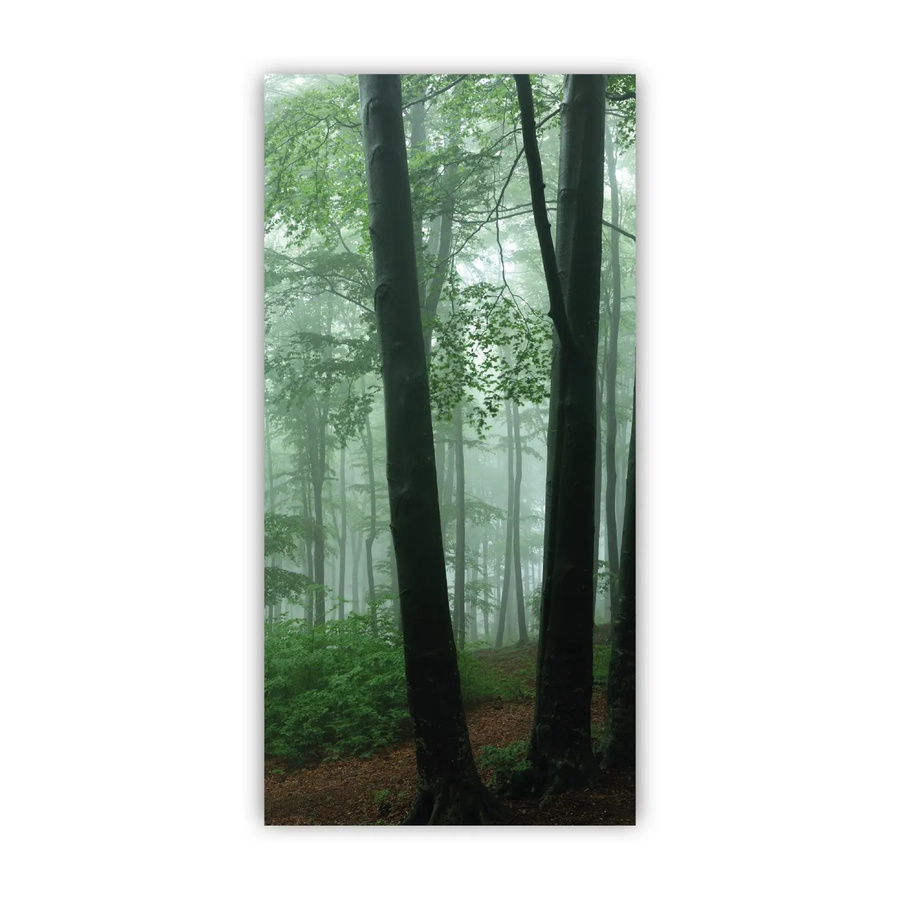 Walllux Duschrückwand Nebel im Wald aus Alu-Verbund, Breite: 125 cm, Höhe: 255 cm - Bild 1
