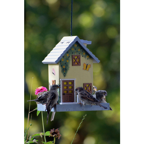 DOBAR Vogelfutterhaus Sommer aus Kiefernholz für Wildvögel in Bunt und Gelb - Bild 2