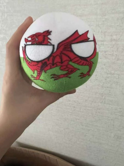 Polandball Plüschkissen Bangladesch Irland England Schottland Puerto Rico Serbien Wales Nepal Countryball, 10cm - Bild 1