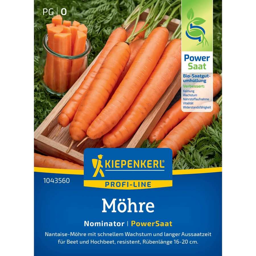 Kiepenkerl Möhren Nominator Daucus carota Gemüsesamen für den Sommer - Bild 2