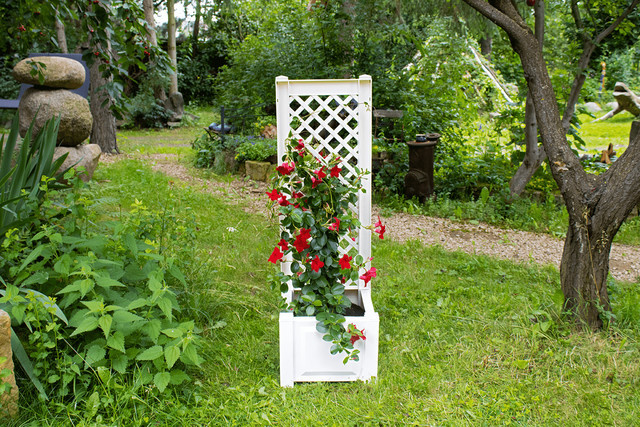 KHW Pflanzkasten mit Spalier in Weiß, Breite: 43 cm - Bild 1