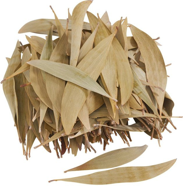 Getrocknete Eukalyptus Blätter von Othmar Decorations in Grün, 100 g - Bild 1