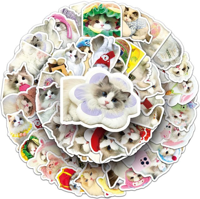 50 Stück Ragdoll-Katzen-Aufkleber von YourLife Store, niedliche Cartoon-Haustier-Dekoration in Multicolor, wasserfest für Wasserflaschen und Laptops - Bild 1