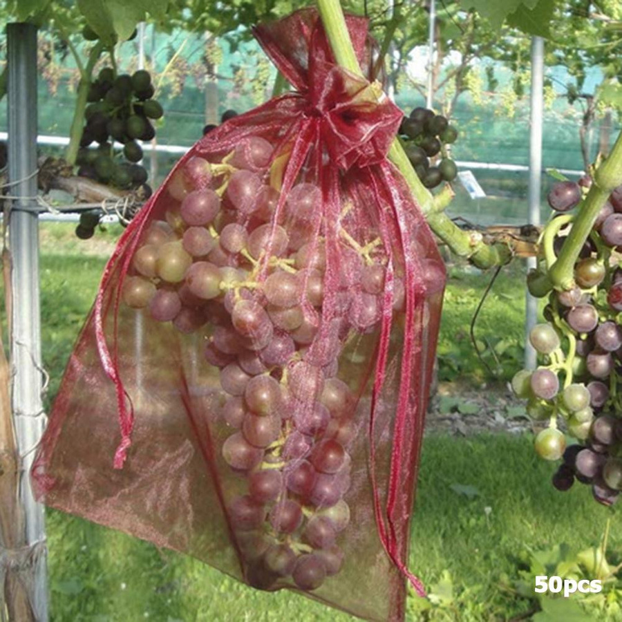 YC Direct Pflanzenschutz Netze für Obst und Gemüse, 50 Stück, Rot, Breite: 10 cm, Höhe: 15 cm - Bild 3
