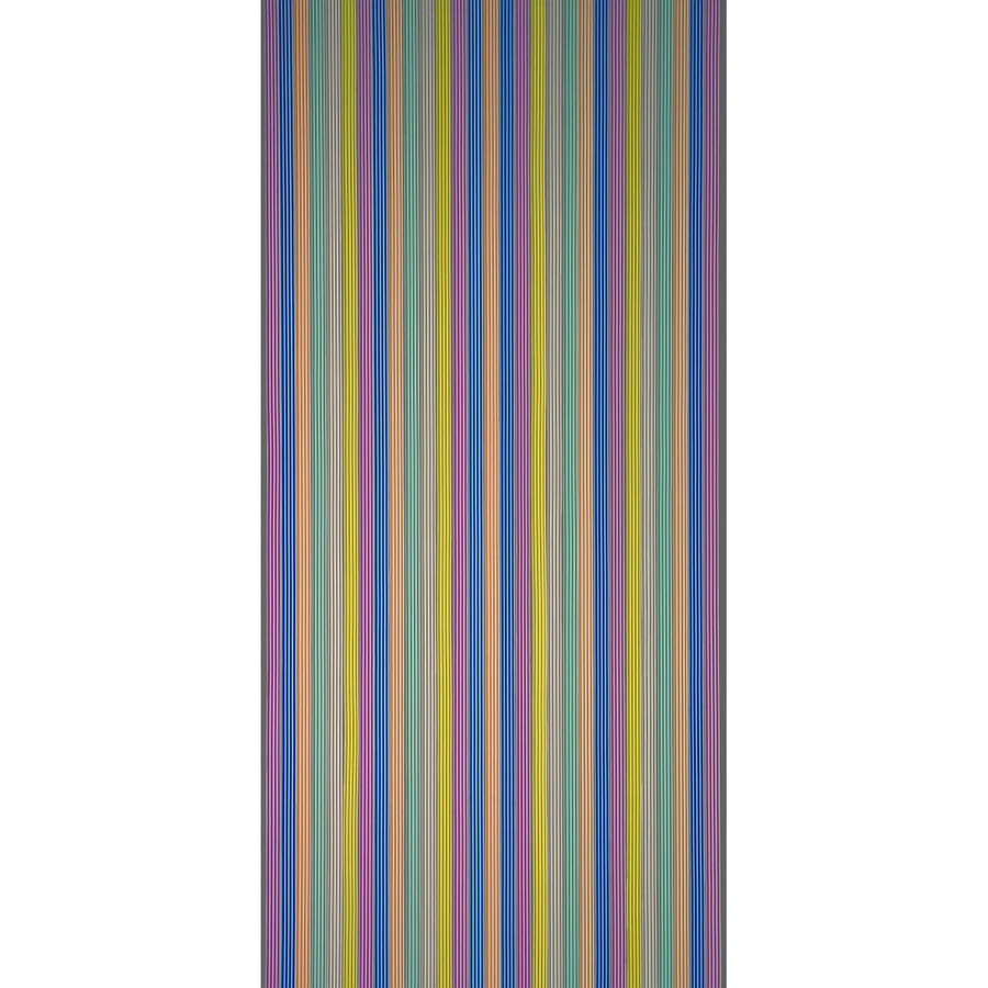 CONACORD Streifenvorhang Brilliant Bunt aus PVC, B/H: 90 x 200 cm - Bild 2