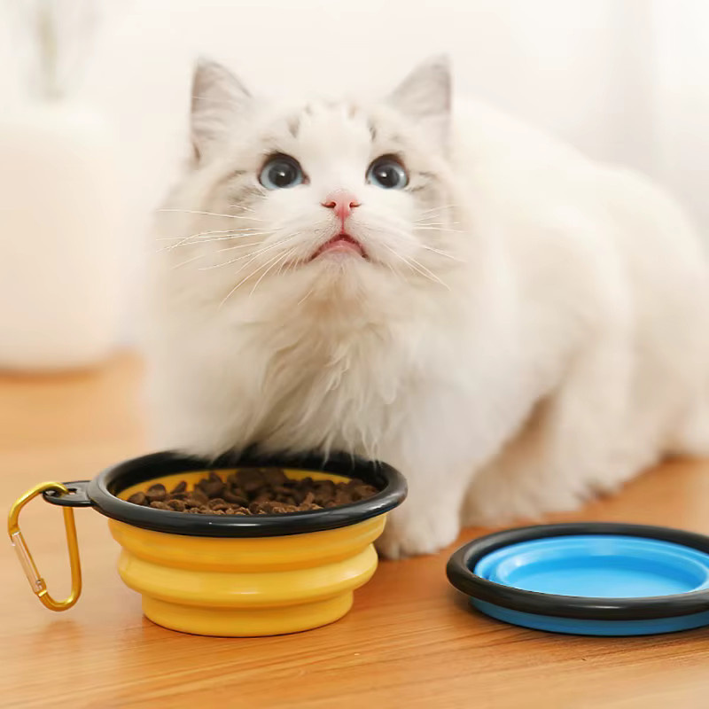 Booteely Klappschüssel mit Schlüsselanhänger für Haustiere in Blau, 350 ml, tragbarer Reise-Napf für Hunde und Katzen - Bild 2