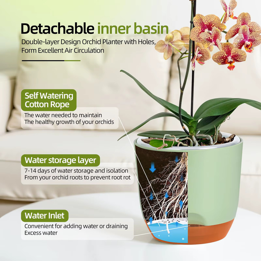 YOCITY Orchideentöpfe aus Kunststoff mit Löchern zum Umtopfen, transparent und grün, selbstbewässernd, B/T/H: 14,5 x 13,0 x 13,0 cm - Bild 2