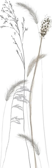 Marburg Vliestapete Gräser in Crushed-Optik, Farbe Weiß/Mehrfarbig, Breite: 70 cm, Höhe: 270 cm - Bild 1