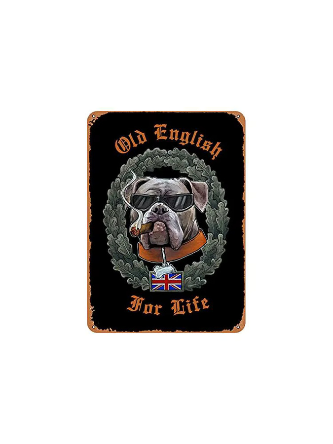 Dsydec Old English Bulldog Vintage Metallschild in Multicolour, Rechteckiges Retro-Wandschild mit Tier-Motiv, Breite: 20,0 cm, Höhe: 14,0 cm - Bild 2