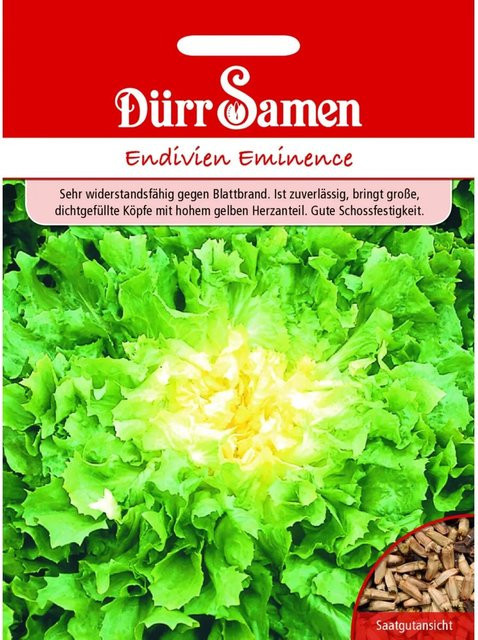 Dürr Samen Winter-Endivien Eminence Saatgut 400 g - Bild 1