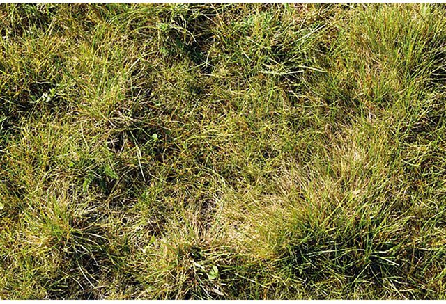 Scherf Schotterrasen Vegetationstragdeckschicht Körnung 0 mm - 16 mm im 1.000 kg Big-Bag - Bild 1