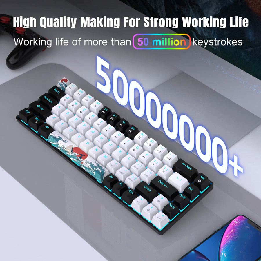 HXSJ Mechanische Gaming-Tastatur mit 68 Tasten, Blaue Schalter, USB-C Anschluss und Mehrfarbiger Beleuchtung in Schwarz-Weiß - Bild 3