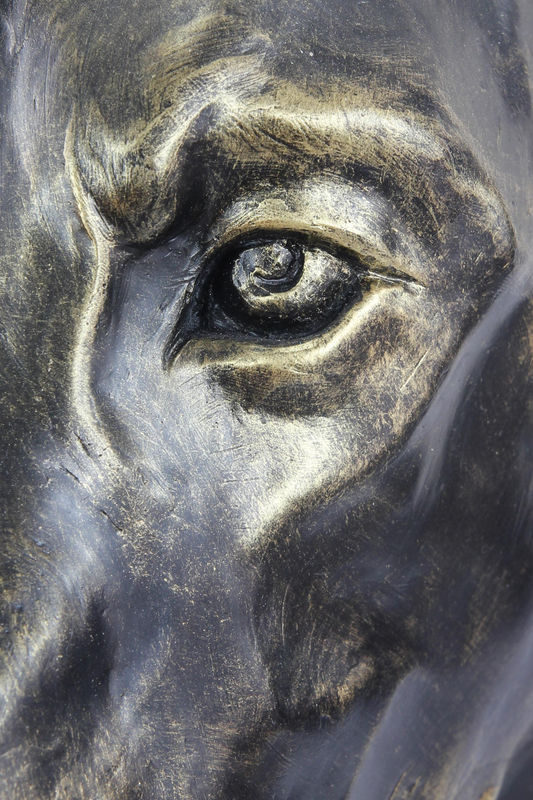 Art-Dog Dobermann Hundebüste aus Kunstharz in Braun und Bronze zur Dekoration für Garten und Wohnzimmer - Bild 2