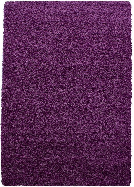 Ayyildiz Hochflorteppich LIFE Violett B: 160 cm, T: 230 cm - Bild 1
