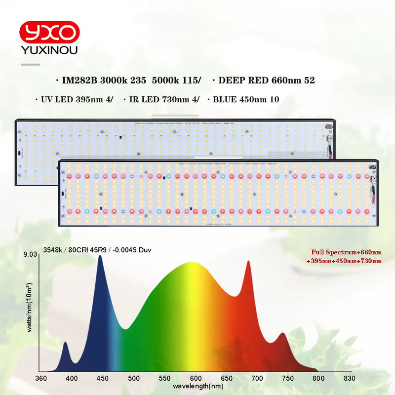 YXO YUXINOU LED-Pflanzenlampe mit Samsung LM301H für Hydroponik, Growbox und Gewächshaus zur Unterstützung von Wachstum und Blüte - Bild 3