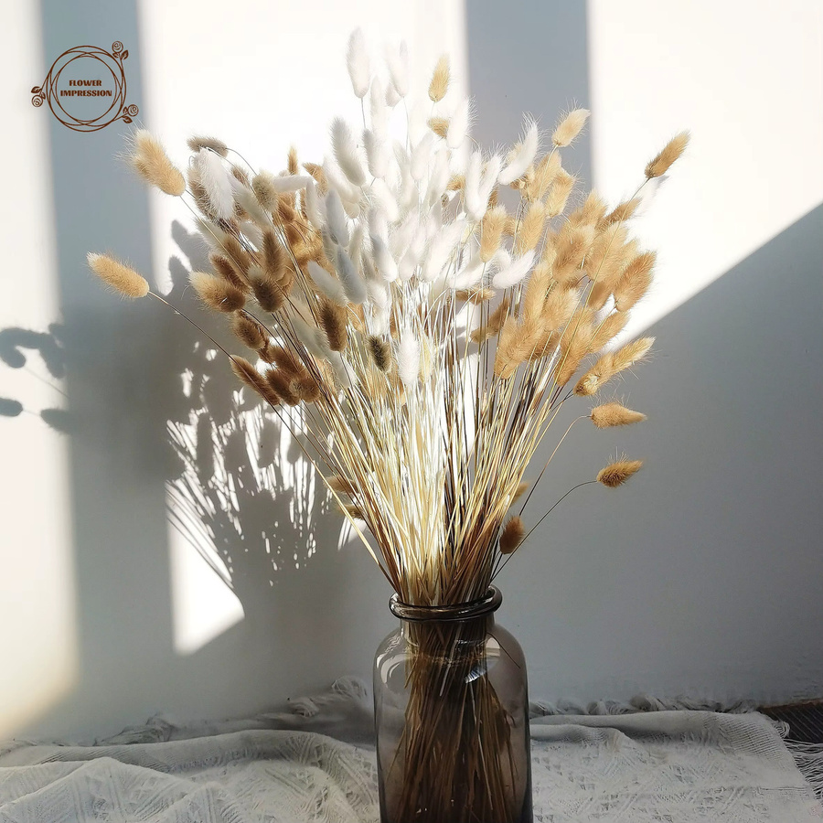 120 Stück getrocknete Kaninchenschwanz-Gräser in Beige als natürliche Boho-Tischdekoration für Hochzeiten und Partys von YN HI FLOWER - Bild 3