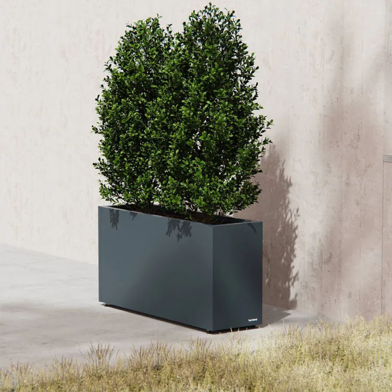 Herstera Garden Pflanzkübel Cube aus Metall in Anthrazit B/T/H: 100 x 30 x 50 cm - Bild 5