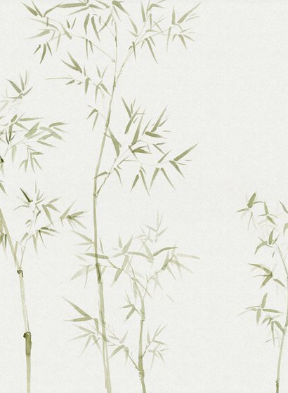 Sandberg Mural Arashiyama Tapete mit Bambus-Motiv in Green und Cream aus Vlies - Bild 1