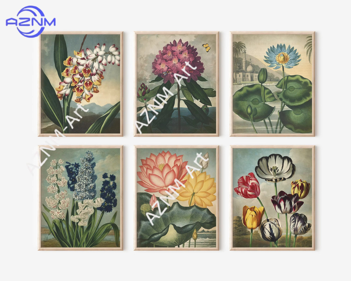 6-teiliges Set AZNM Vintage-Blumenkunstposter mit botanischen Drucken in Mehrfarbig - Bild 3