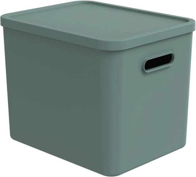 Rotho Multibox Albula Aufbewahrungsbox mit Griffen Mistletoe Green B: 29,0 cm, T: 29,5 cm, H: 27,0 cm - Bild 1